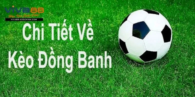 Kèo chấp đồng banh nổi bật với cách tính đơn giản