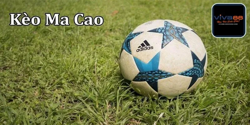 Kèo macao chấp ¼ trái mang lại sự gay cấn cho người chơi